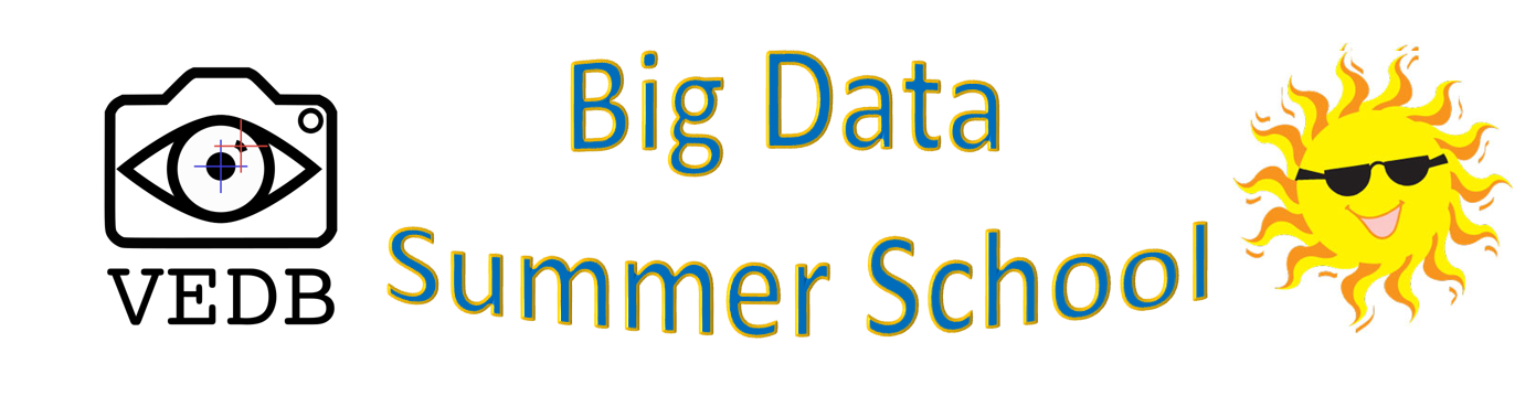 image of a cartoon sun with sunglasses and stylized Big Data Summer School words